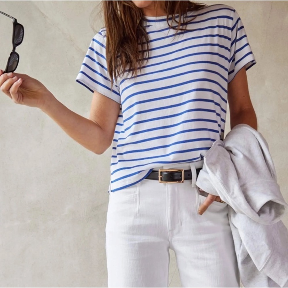 AYR The Sno Cone T-Shirt in White and Blue Stripe